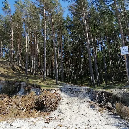Przystanek